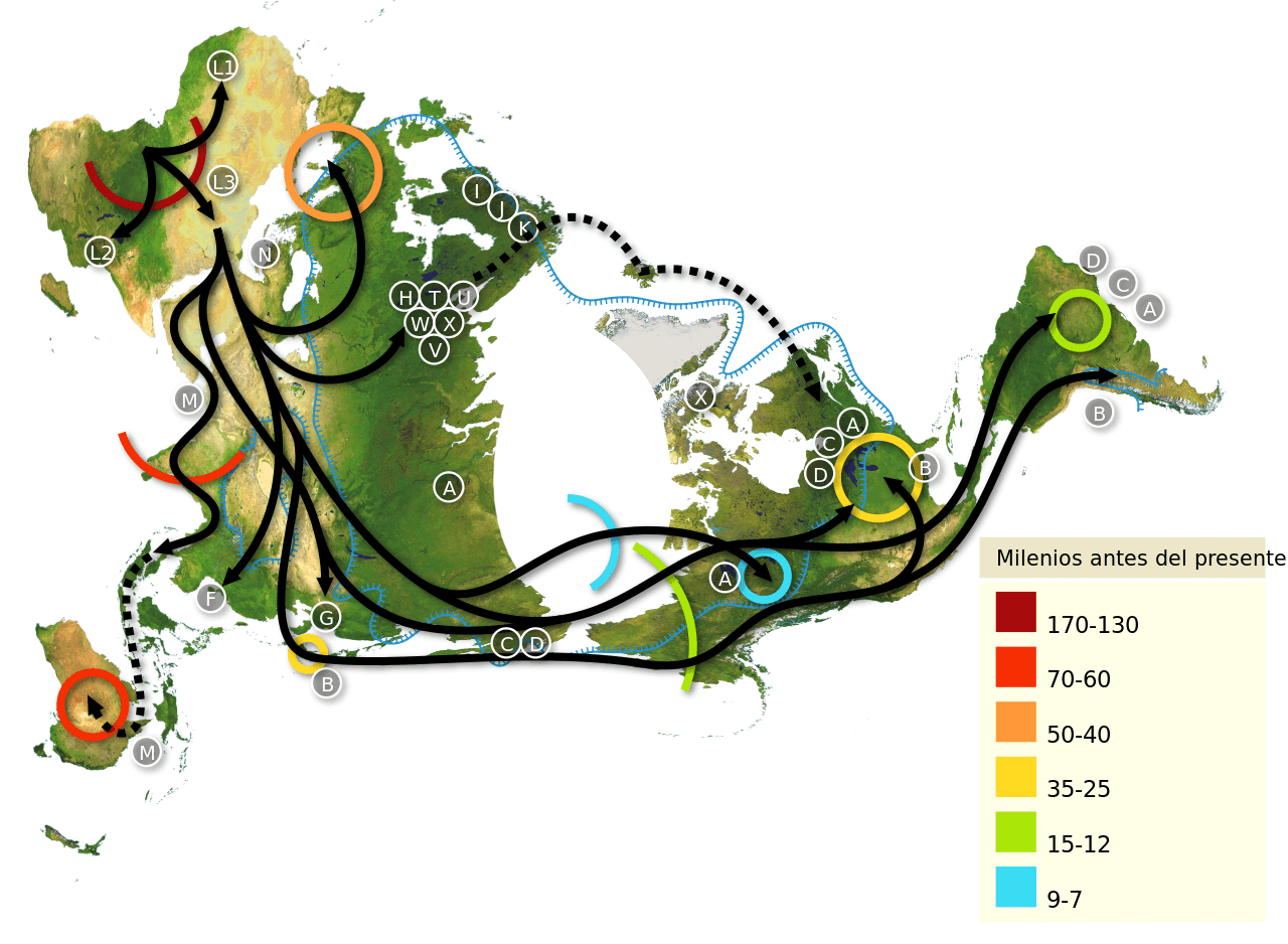 Mapamundi de las migraciones de Homo sapiens