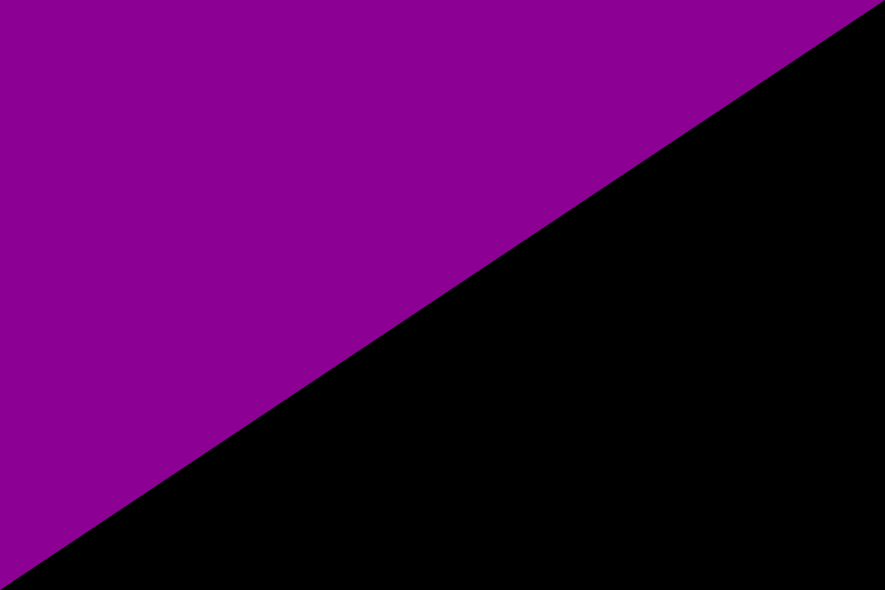 Bandera que representa el feminismo libertario.